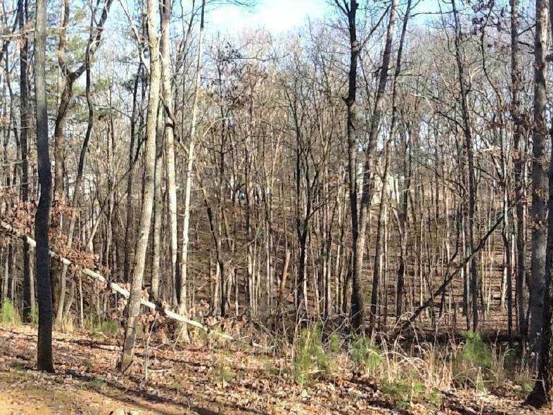 Sadie Ct., Dawsonville, GA 30534