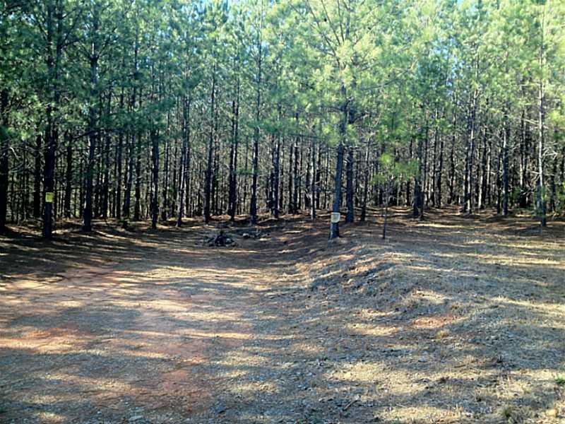 Trct 3 Reavis Mountain Rd., Ball Ground, GA 30107
