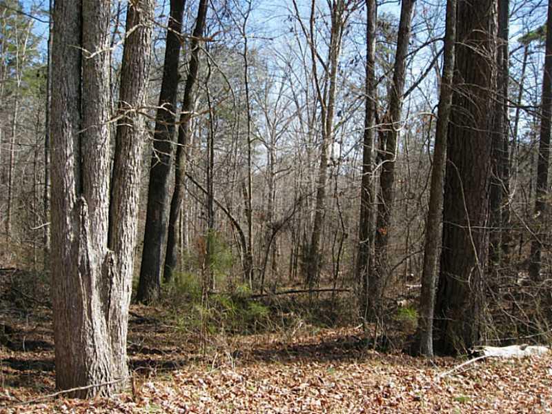 Rock House Ct., Waleska, GA 30183