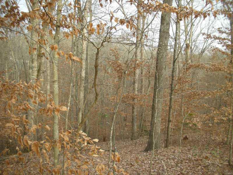 3723 Ronny Way, Gainesville, GA 30506
