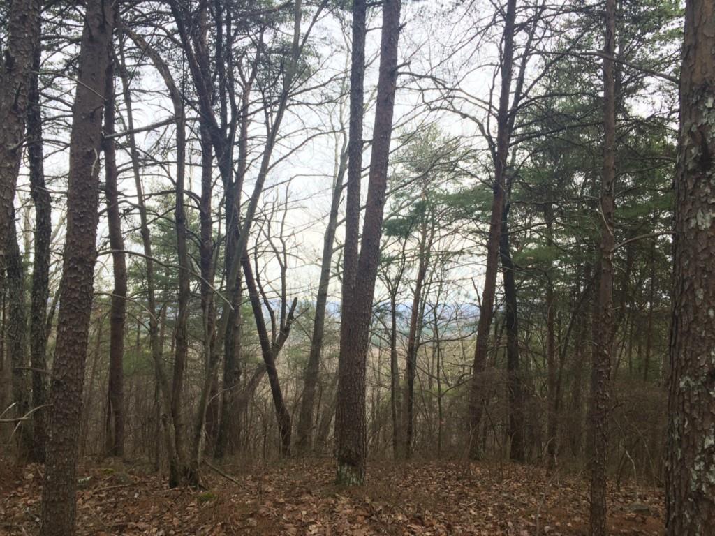 Dunaway Gap Rd., Armuchee, GA 30105