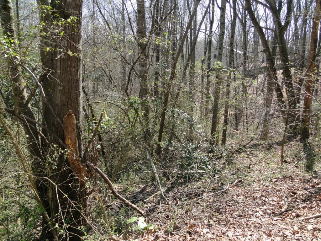 6139 White Oak Dr., Flowery Branch, GA 30542