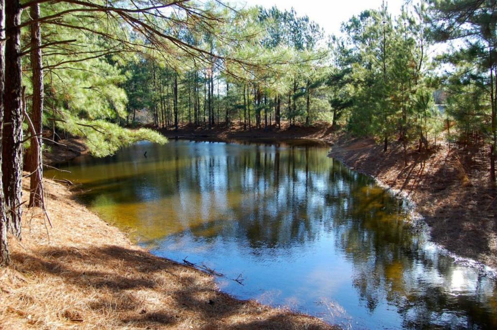 Ace Mcmillian Rd., Dacula, GA 30019