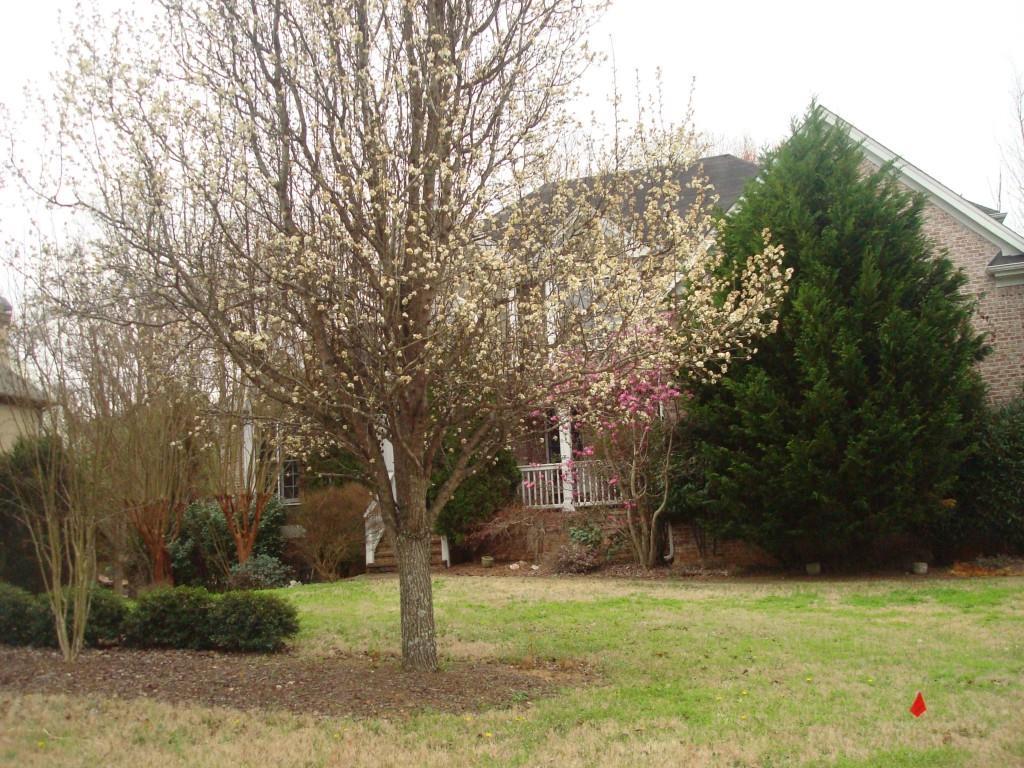 600 Creekbank Ct., Woodstock, GA 30188