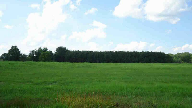 1250 Oostanaula Bend Rd., Calhoun, GA 30701