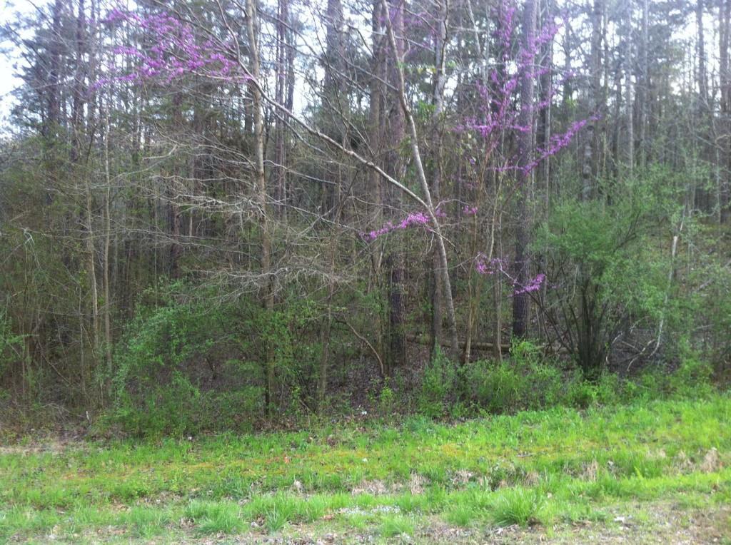 Lot 6 Lamar Cooper Rd., Braselton, GA 30517