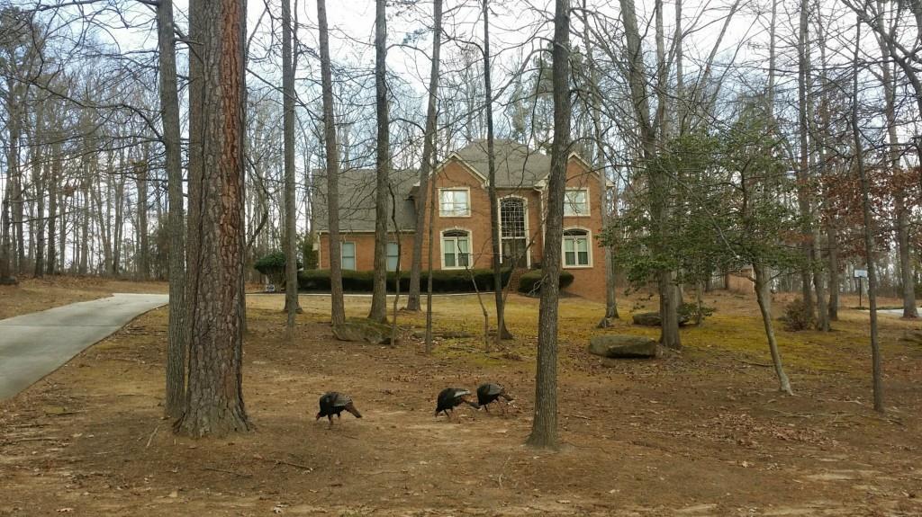 3273 Hunters Pace Dr., Lithonia, GA 30038