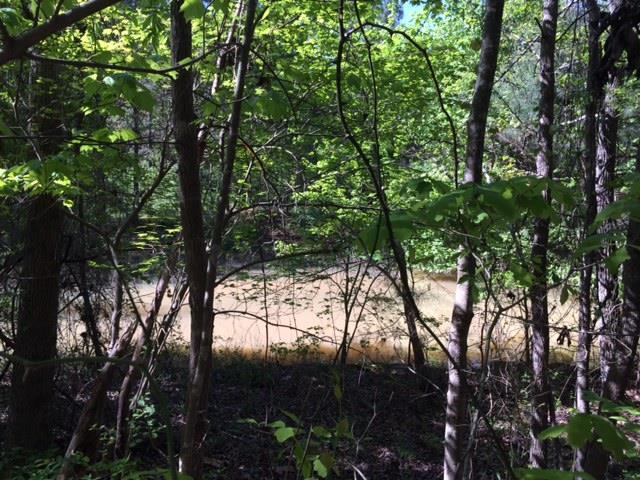 00 Biddy Rd., Adairsville, GA 30103