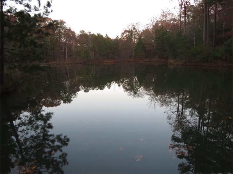 239 Fields Chapel Rd., Canton, GA 30114