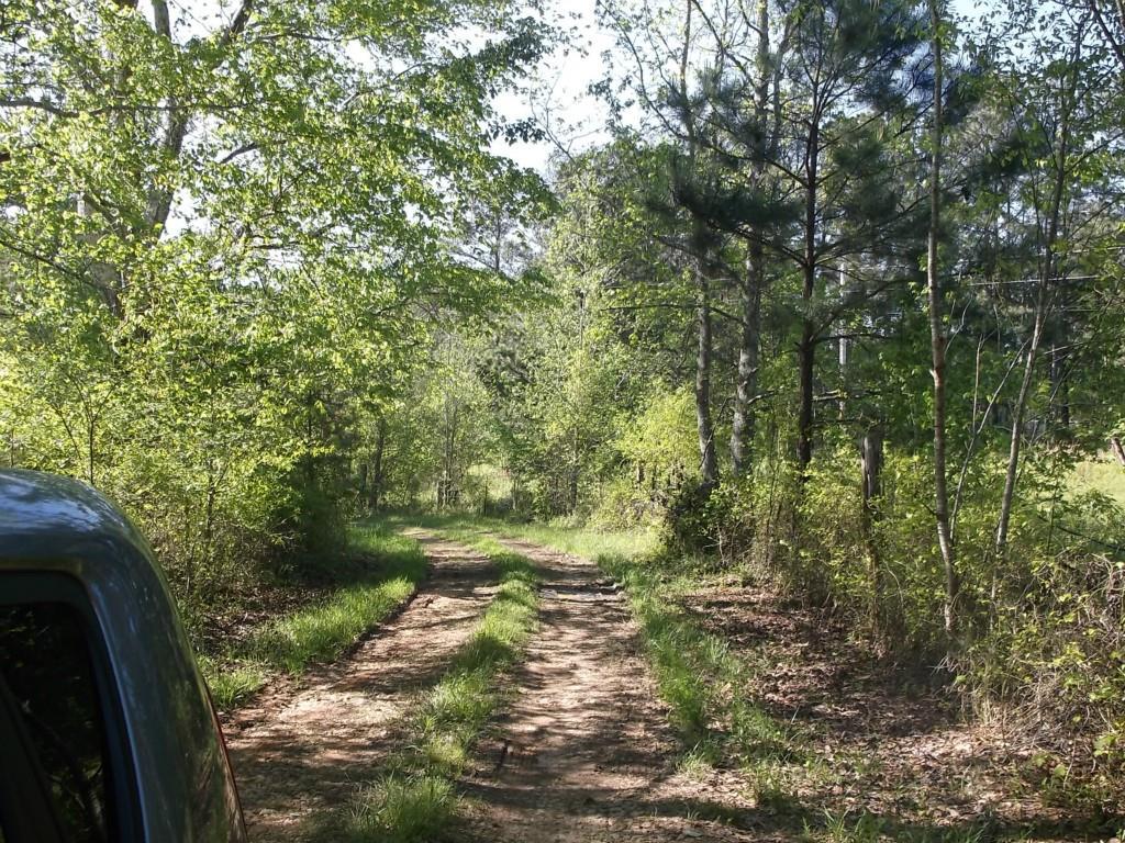 383 Raymonds Dr., Rockmart, GA 30153