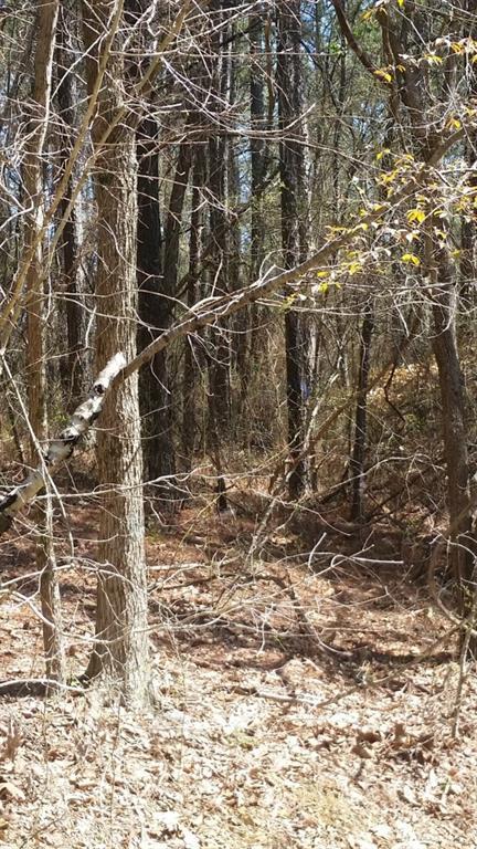 Lot 2 Pope Paul Path, Dallas, GA 30157