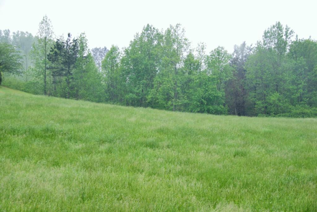940 Holcomb Rd., Ball Ground, GA 30107