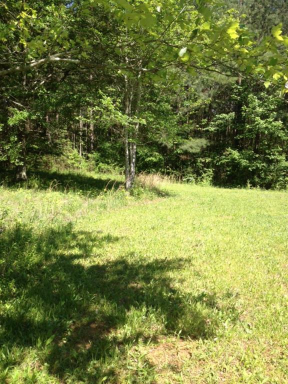 6297 James Dupree Ln., Acworth, GA 30102