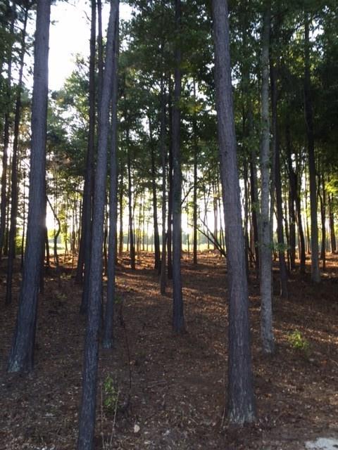 10485 Atlanta-newnan Rd., Chattahoochee Hills, GA 30268