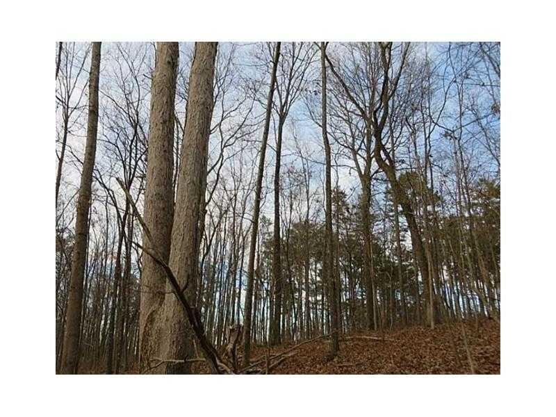 Plainview Rd., Adairsville, GA 30103