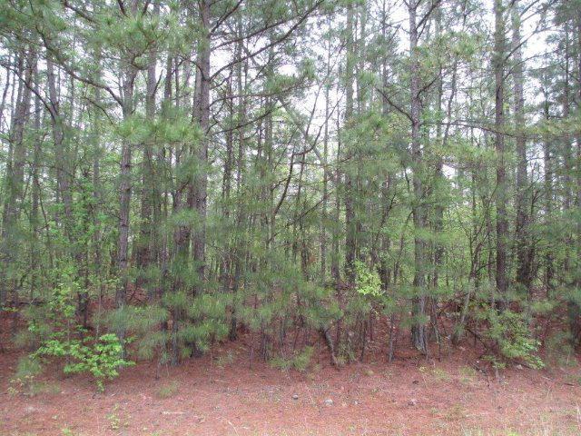 Tyree Rd., Winston, GA 30187