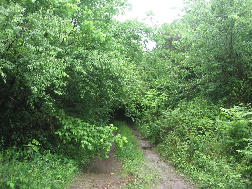 5874 Ball Ground Rd., Ball Ground, GA 30107