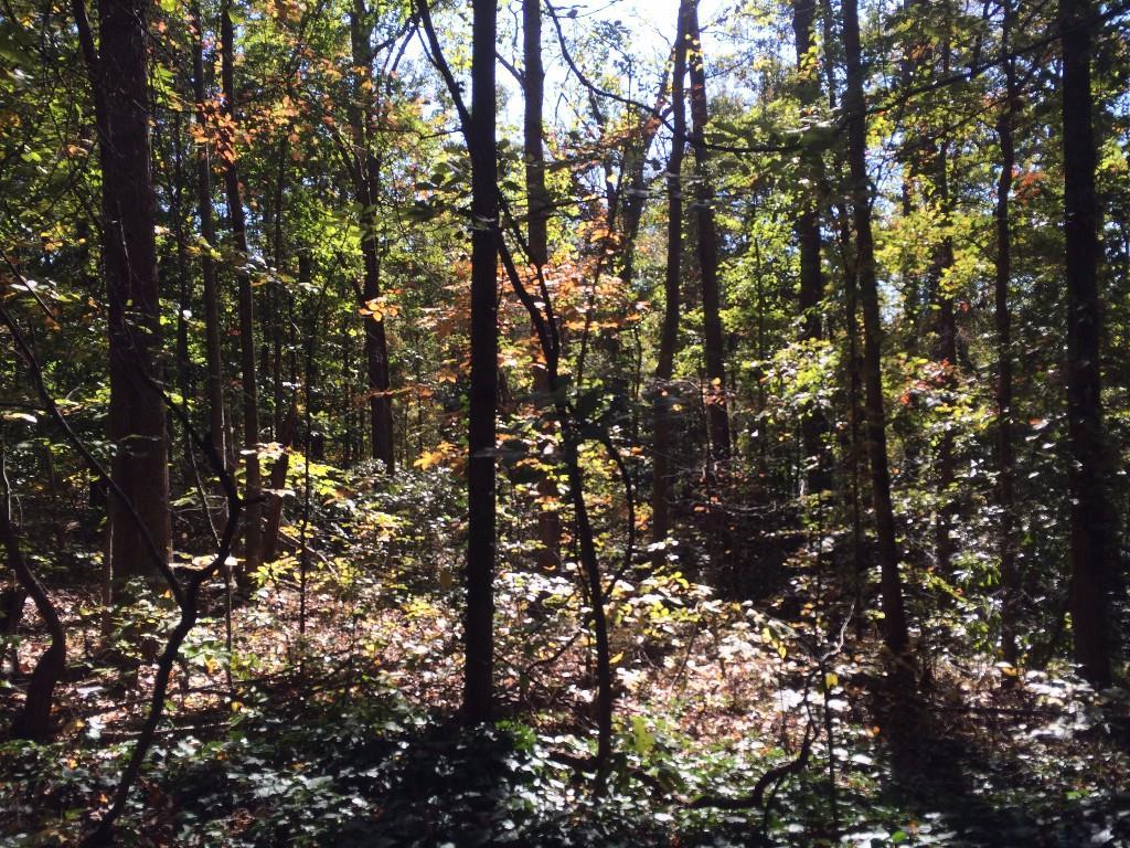 30331 Cascade Rd., Atlanta, GA 30331