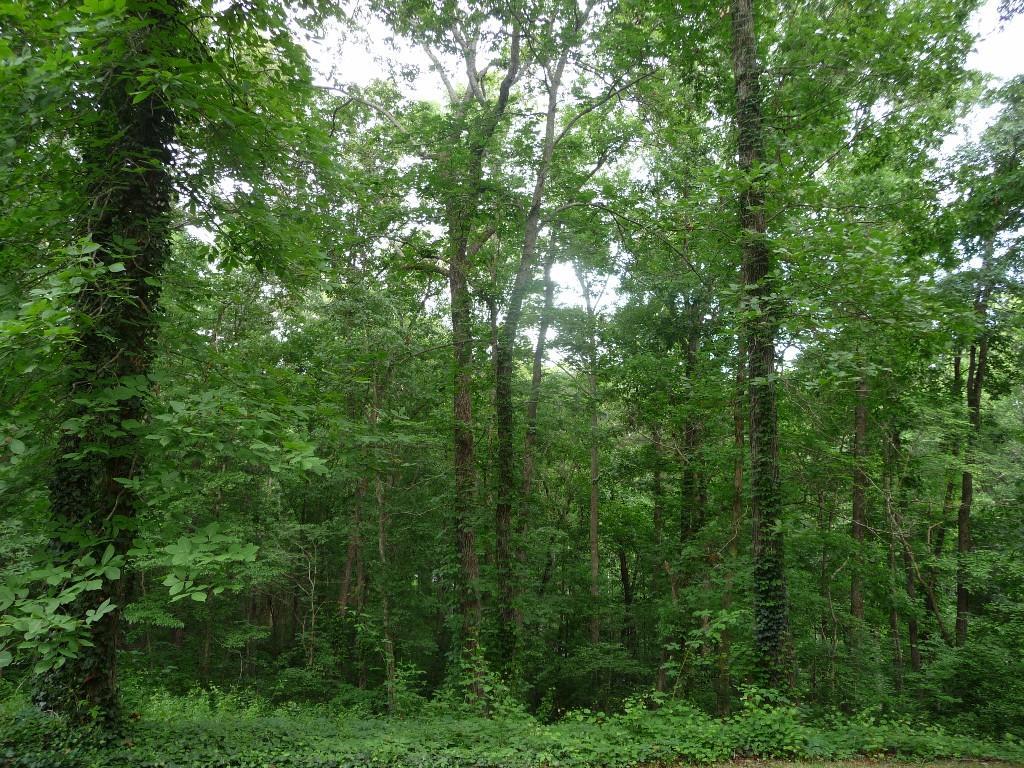 Liberty Ln., Canton, GA 30114