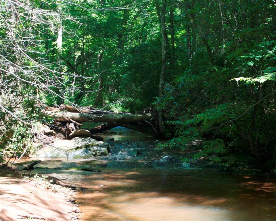 Cowart Mtn Rd., Jasper, GA 30114