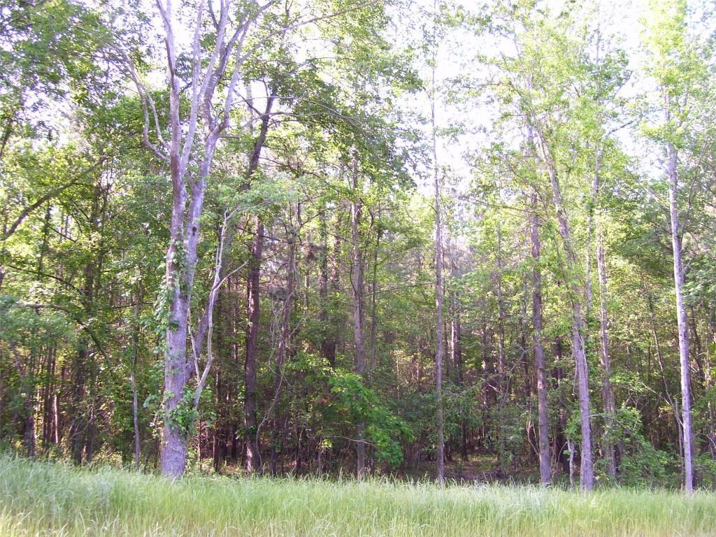 6.70ac Shockley Springs Dr., Monroe, GA 30656