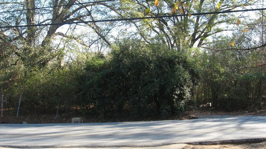 3632 Panthersville Rd., Decatur, GA 30034