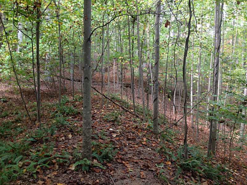 2550 Enchantress Way, Buford, GA 30518