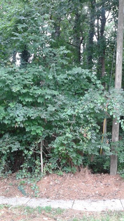 SR Gravel Springs Rd., Buford, GA 30519