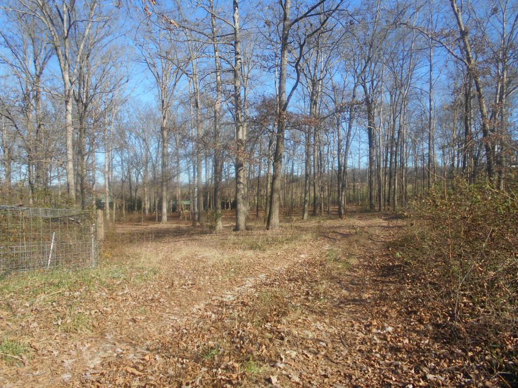 152 Ingram, Commerce, GA 30529