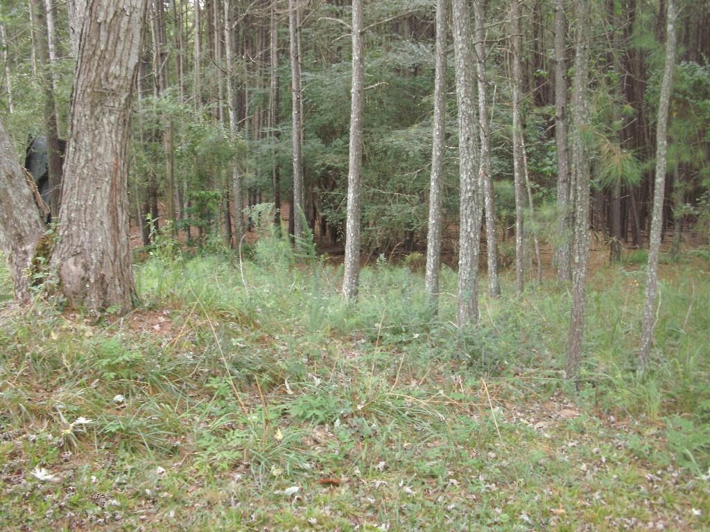 7768 Basket Creek Rd., Douglasville, GA 30135