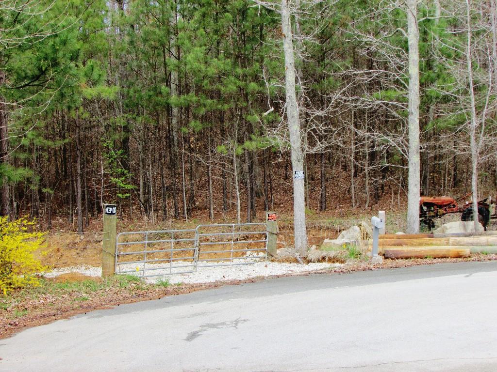 510 Paces Lakes Ridge, Dallas, GA 30157