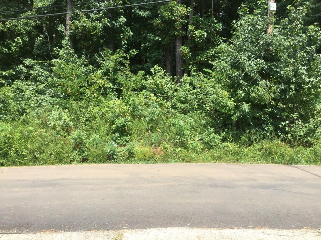 158 Little Victoria Rd., Woodstock, GA 30189