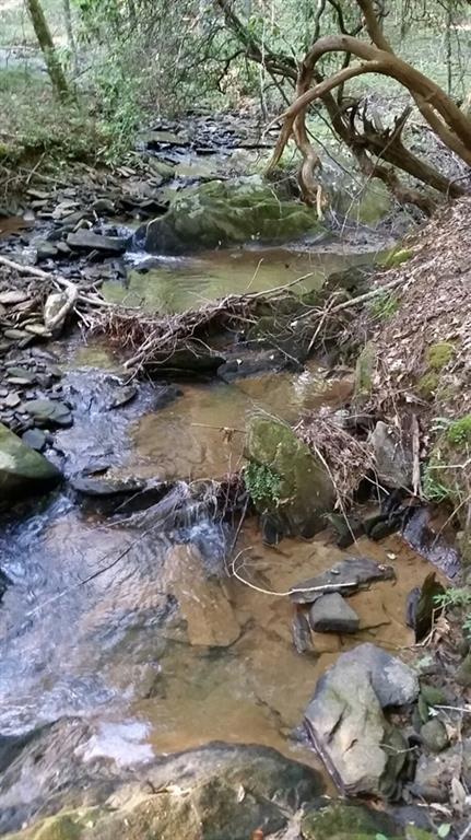 204 Enterprise Ct., Ball Ground, GA 30107