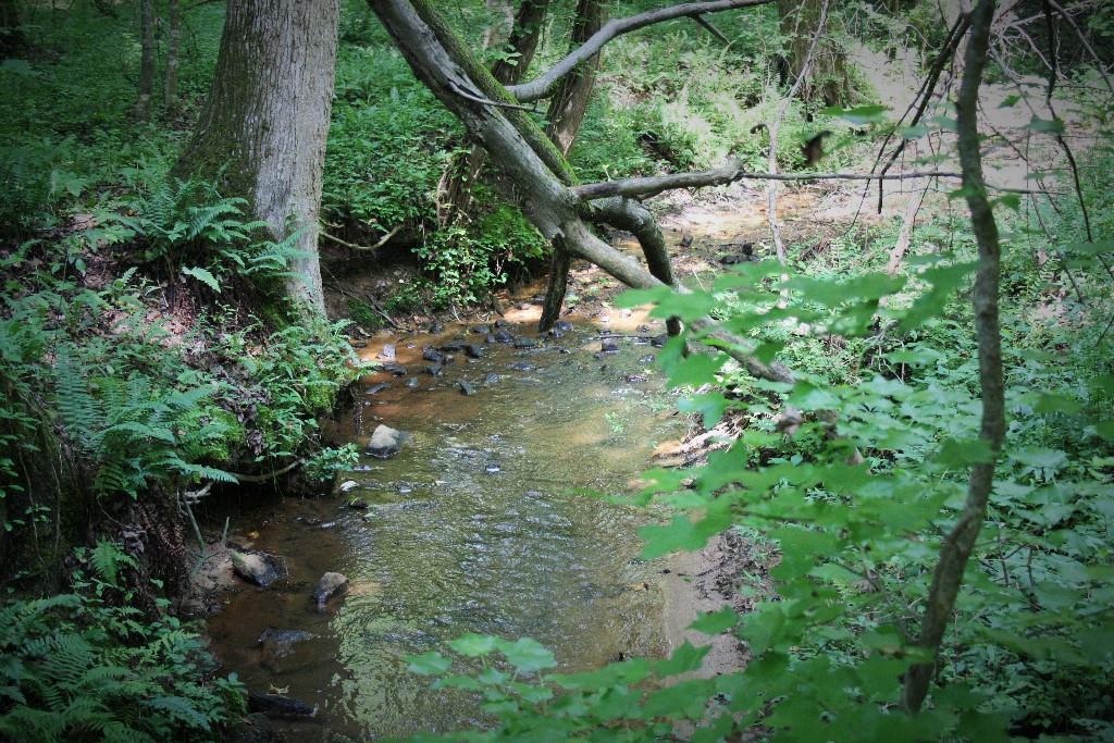 Lot 82 Iron Mountain Rd., Canton, GA 30115