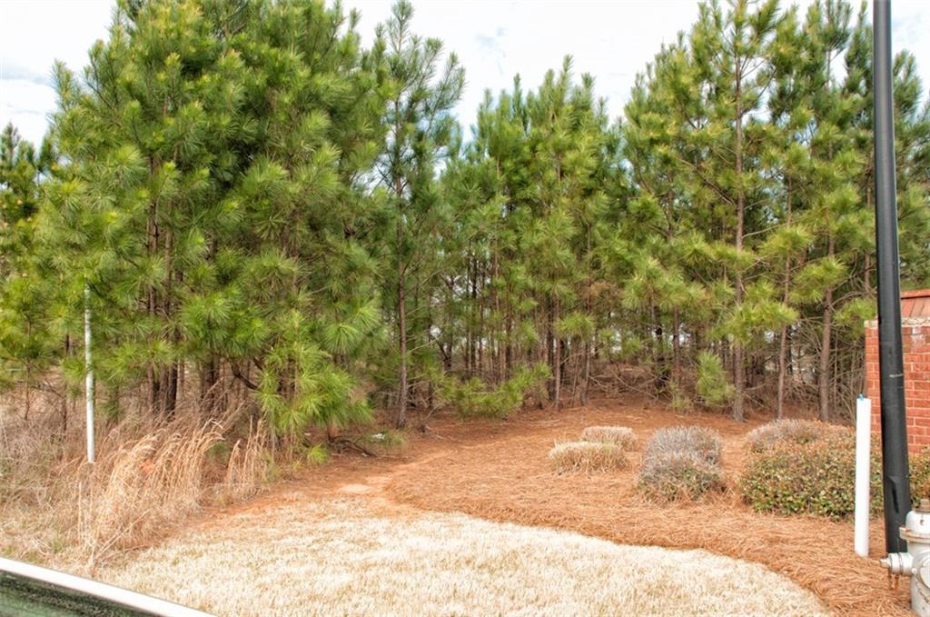 3001 Bonita Springs Ct., Douglasville, GA 30135