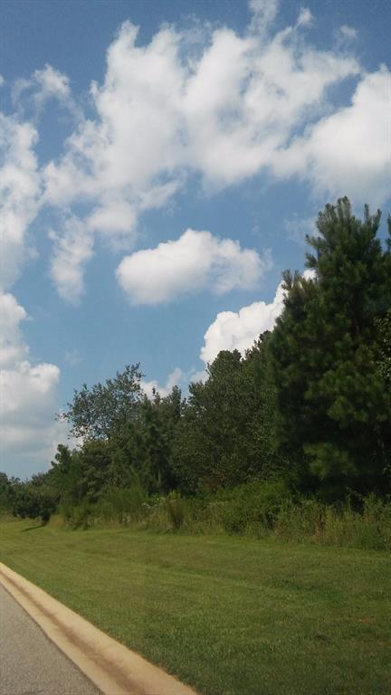 6716 Little Whistle Way, Clermont, GA 30527