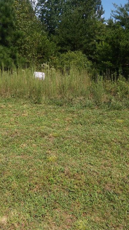 6732 Little Whistle Way, Clermont, GA 30527