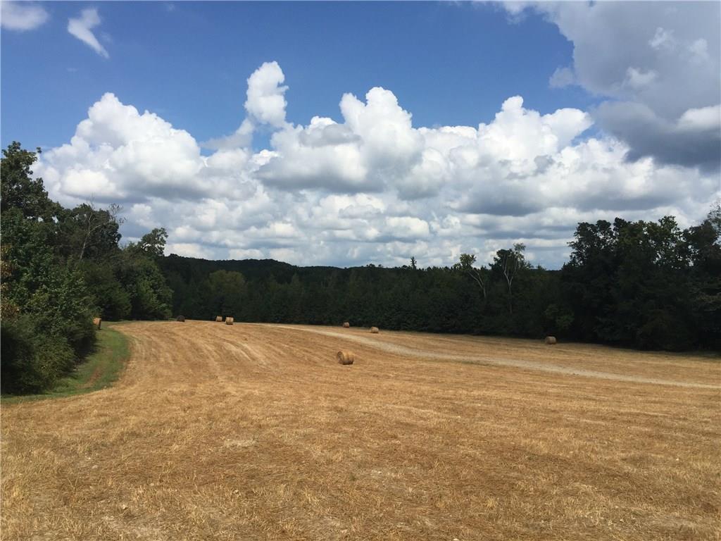 Woodfall Rd., Cedartown, GA 30125