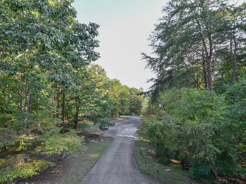 175 Silver Fox Loop, Waleska, GA 30183