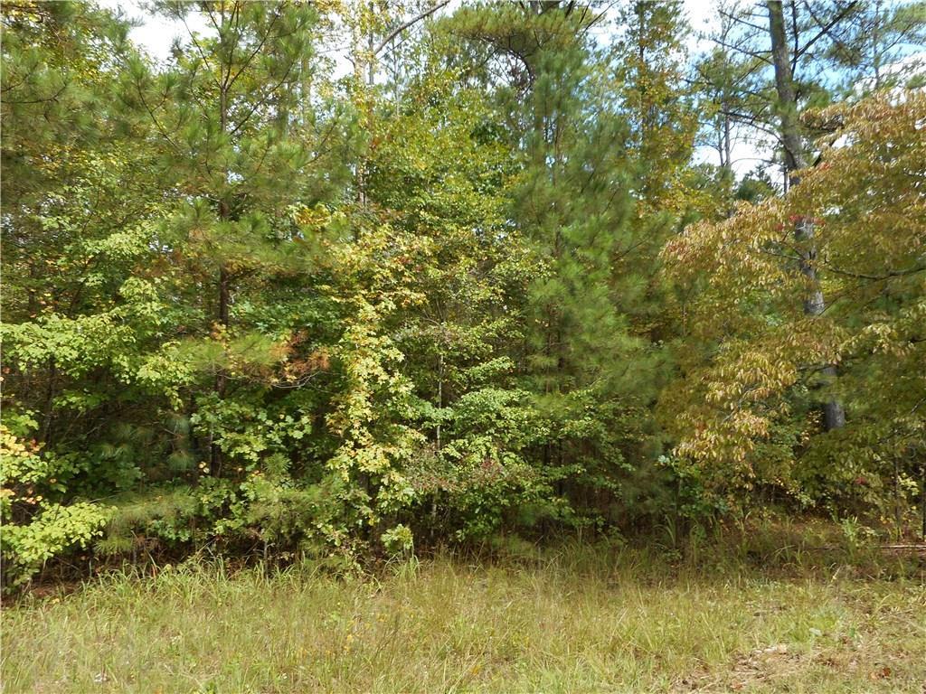 0000 Wilson Rd., Douglasville, GA 30135