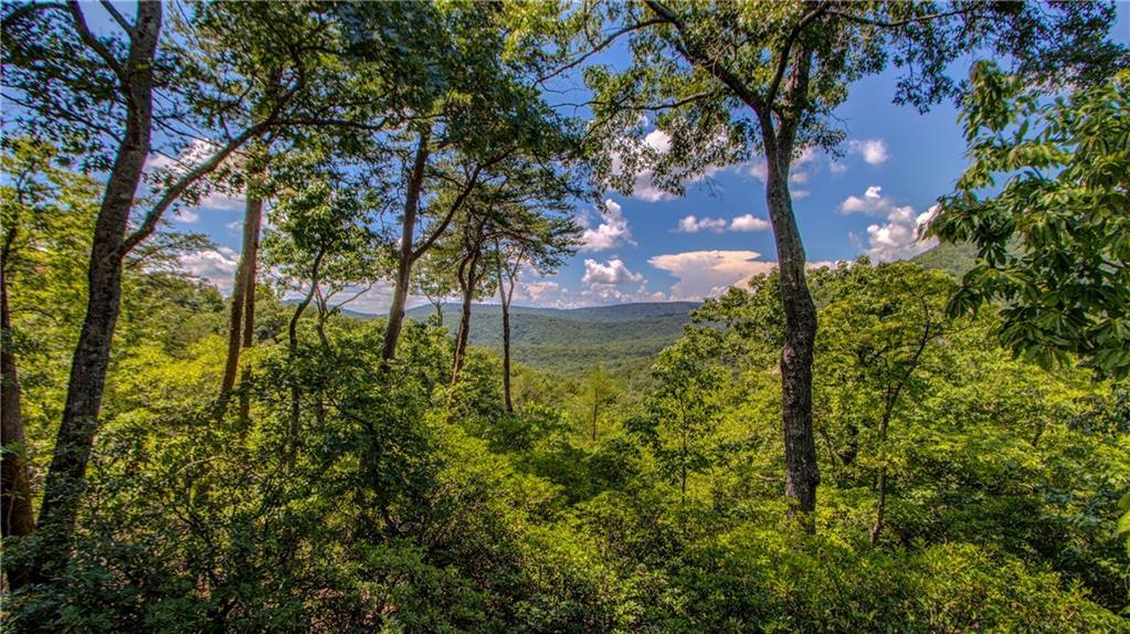 231 Cliff Fern Point, Big Canoe, GA 30143