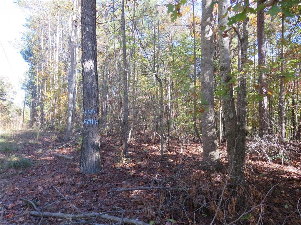 03A Old Hornage Rd., Ball Ground, GA 30107