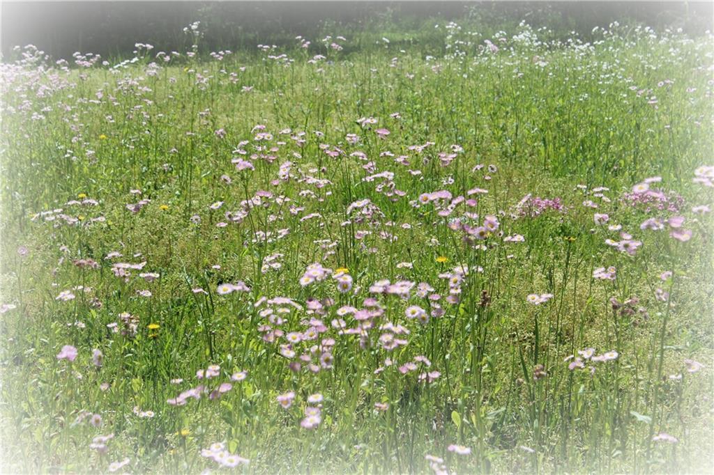 635 N Raburn Rd., Temple, GA 30179