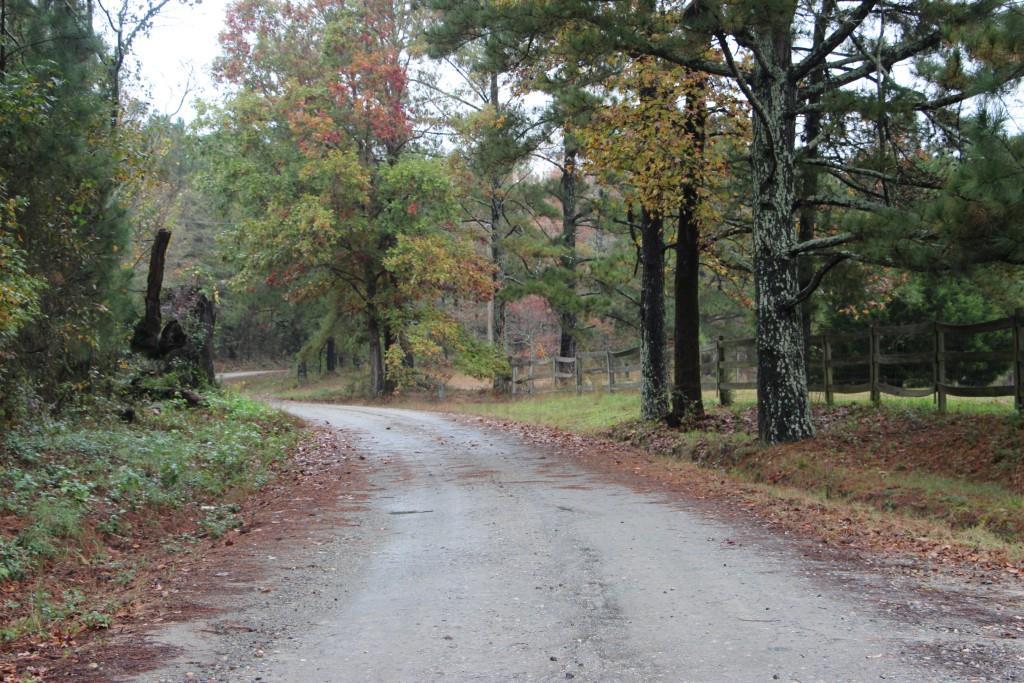 389 Chandler Rd., Auburn, GA 30011