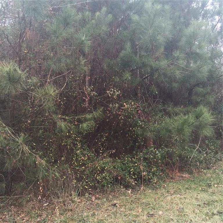 27 Hampton Farms Tr., Jasper, GA 30143