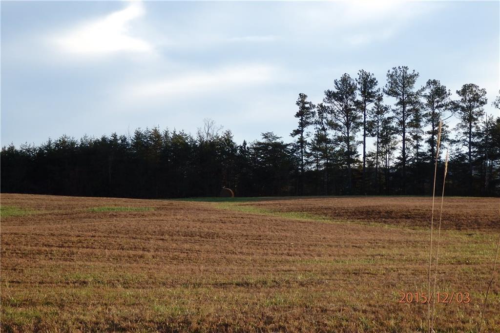 15 Lauren Ln., Rydal, GA 30171