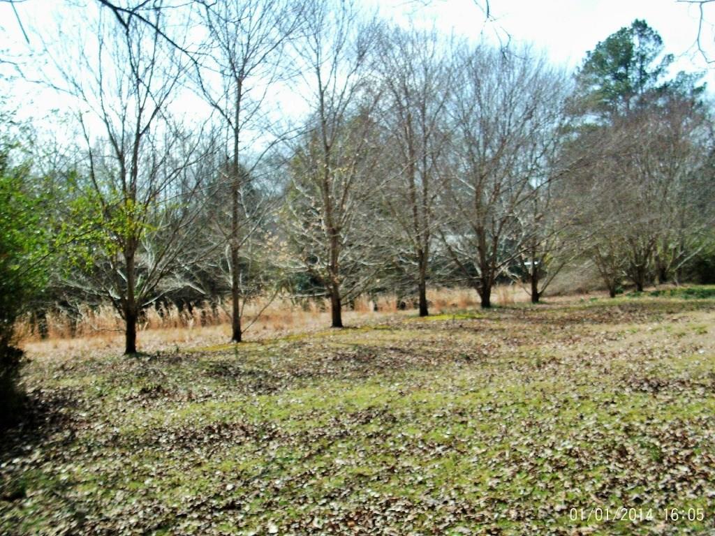 251 Mount Calvary Rd., Whitesburg, GA 30185