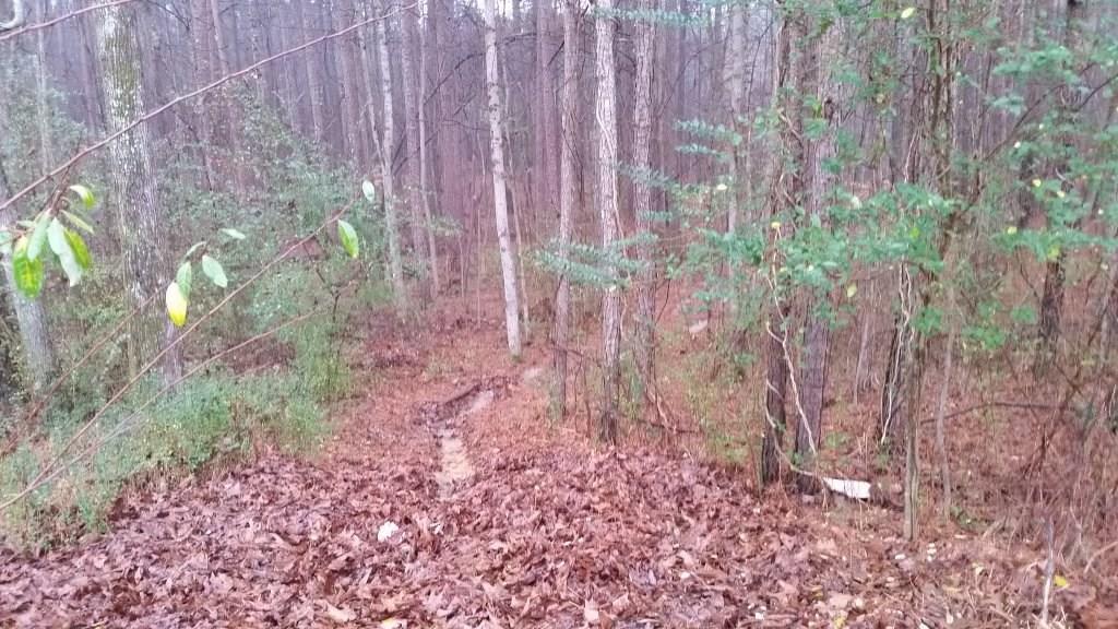 00 Emerald Ct., Woodstock, GA 30189