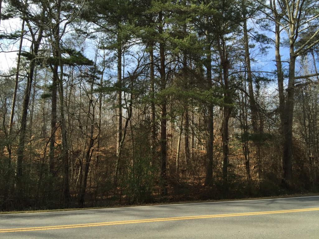 15160 Thompson Rd., Alpharetta, GA 30004