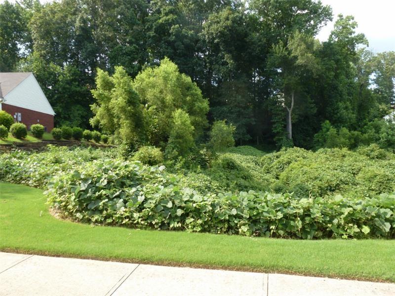 640 Mattie Farm Pl., Lawrenceville, GA 30045